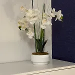 アパート El Pasaje オビエド
