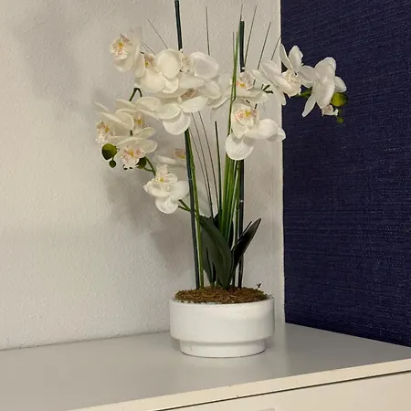 Апартаменти El Pasaje Ов'єдо