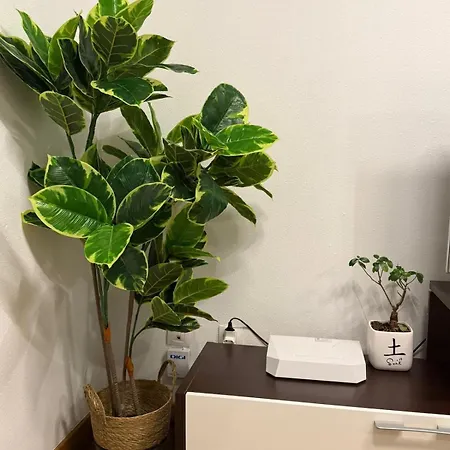 Апартаменти El Pasaje *