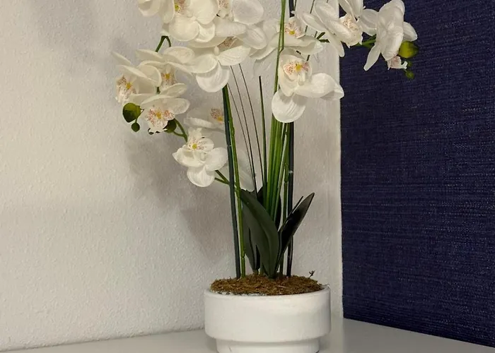 شقة El Pasaje اوفيدو